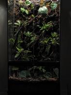 Exo terra terrarium 45x45x90, Ophalen, Zo goed als nieuw
