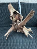Aquarium Wortels uit natuurhout (3 stuks: 1x M en 2x XL), Dieren en Toebehoren, Vissen | Aquaria en Toebehoren, Ophalen, Zo goed als nieuw