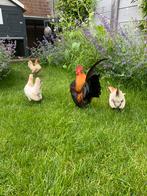 Koppel sarema kippen, Dieren en Toebehoren, Pluimvee, Meerdere dieren, Kip