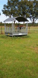 Paardenstalling met weidegang te Huijbergen, Dieren en Toebehoren, Stalling en Weidegang, Weidegang, 2 of 3 paarden of pony's