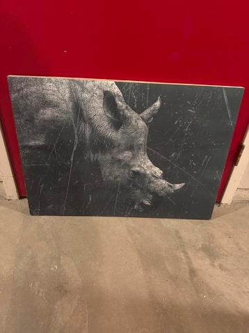 Gratis Schilderij/Foto: Neushoorn 