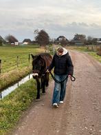 Bijrijd paard/pony gezocht!!, Ophalen of Verzenden