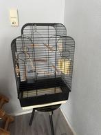 Groote vogels kooi, Dieren en Toebehoren, Vogels | Hokken en Kooien, Ophalen, Zo goed als nieuw, Vogelkooi