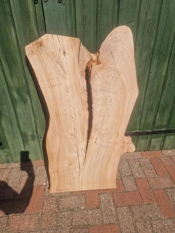Hollandse Iep Plank / Blad - Uniek! beschikbaar voor biedingen