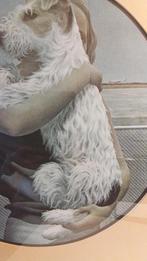 aluminium fotolijst vrouw met hond, Foto of Poster, Ophalen of Verzenden, 50 tot 75 cm, 50 tot 75 cm