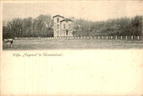 Bloemendaal - Villa Caprera, Verzamelen, Ansichtkaarten | Nederland, Ongelopen, Noord-Holland, Voor 1920, Ophalen of Verzenden