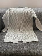 Basic Apparel vest - Maat S, Kleding | Dames, Truien en Vesten, Ophalen, Zo goed als nieuw, Maat 36 (S), Grijs