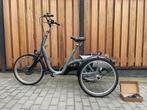 Van Raam driewieler Maxi elektrische (driewieler)fiets, Nieuw, Van Raam, Ophalen