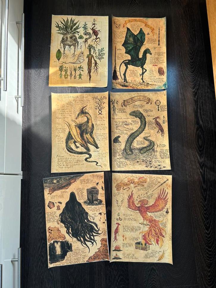 6 posters van Harry Potter, Verzamelen, Harry Potter, Boek of Poster, Ophalen of Verzenden