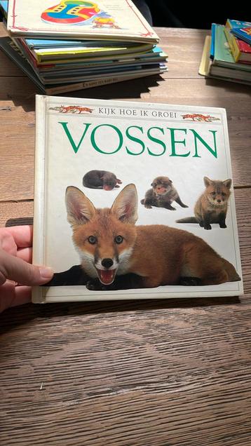 Boek – Kijk hoe ik groei: Vossen beschikbaar voor biedingen