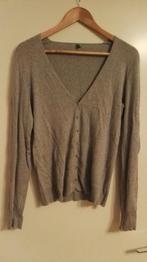 ELT Fleecevest Fleece Rood mt L Vest, Kleding | Dames, Truien en Vesten, Ophalen of Verzenden, Gedragen, Maat 42/44 (L), Grijs