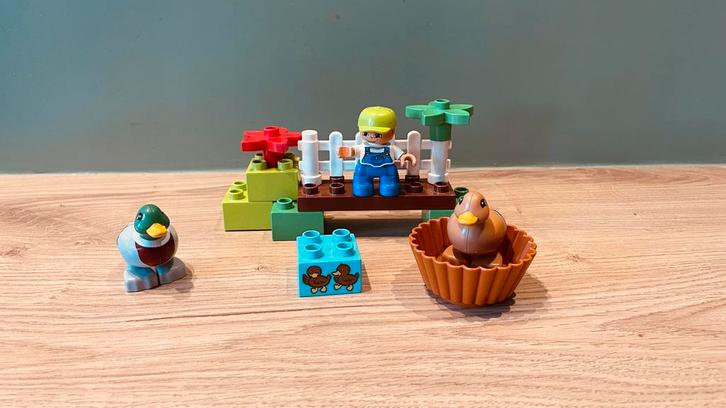 10581 Bos Eenden, Kinderen en Baby's, Speelgoed | Duplo en Lego, Gebruikt, Duplo, Complete set, Ophalen of Verzenden