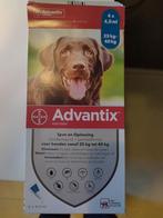vlooiendruppels Advantix 2 pipetten houdbaar 7-2027, Dieren en Toebehoren, Ophalen of Verzenden, Nieuw