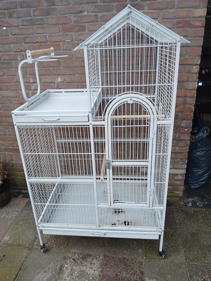 Papegaaienkooi, Dieren en Toebehoren, Vogels | Hokken en Kooien, Gebruikt, Vogelkooi, Metaal, Ophalen