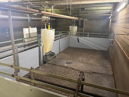 Hokinrichting voor vleesvarkens [527], Dieren en Toebehoren, Stalling en Weidegang