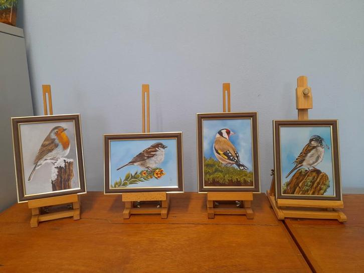 Schilderij mussen roodborstje puttertje 4st €120 -eigen werk, Verzamelen, Dierenverzamelingen, Nieuw, Overige typen, Vogel, Ophalen of Verzenden