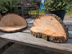 wandplanken natuur boomstam, Ophalen of Verzenden, Nieuw, Hout