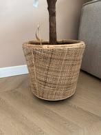 Van der Leeden plantenpot rotan/naturel, Ophalen, Mand, Rond, Zo goed als nieuw