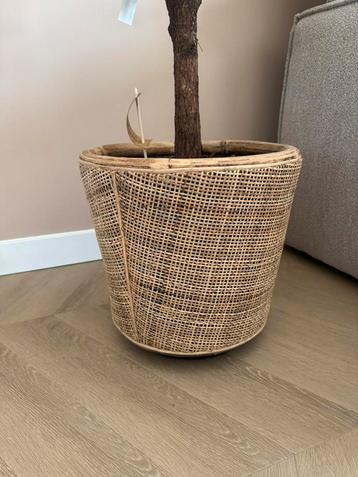 Van der Leeden plantenpot rotan/naturel beschikbaar voor biedingen
