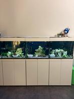 3x Juwel aquarium 120Liter, Dieren en Toebehoren, Vissen | Aquaria en Toebehoren, Ophalen of Verzenden, Zo goed als nieuw, Leeg aquarium