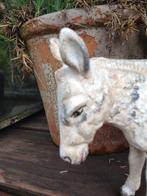 Ezel, Spaarpot, Verzamelen, Spaarpotten, Ophalen of Verzenden, Zo goed als nieuw, Metaal of Blik, Dier