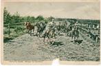 Nederlandse kaart 5201-124, Ophalen of Verzenden, Landmacht, Nederland, Foto of Poster