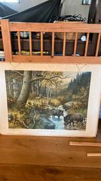 Schoolplaten een duits bergwoud & bewoners van de Karpaten, Ophalen of Verzenden, Natuur en Biologie