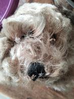 Oude Steiff Knuffel Hond - Beige, Ophalen of Verzenden, Gebruikt, Hond