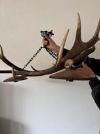 Unieke Gewei Kroonluchter, Ophalen