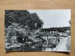 Ansichtkaart Plantsoen Hattem, Verzamelen, Ansichtkaarten | Nederland, Ophalen of Verzenden, 1940 tot 1960, Ongelopen, Gelderland