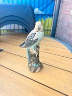 Vogel miniatuur, Dieren en Toebehoren, Vogels | Overige Vogels, Tropenvogel