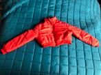 Rood bomberjack stijl jasje 8-9 jaar, Nieuw, Meisje, Shein, Ophalen of Verzenden