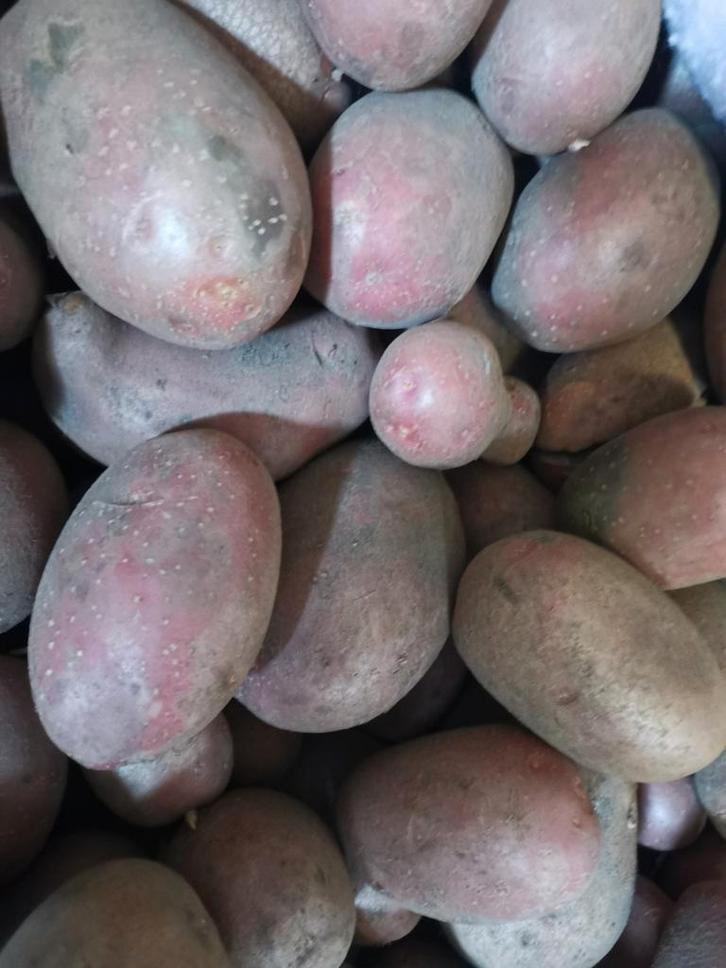 Aardappelen, Diversen, Levensmiddelen, Ophalen