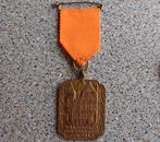 Medaille Den Haag Pagehuis Wandelclub Rode Kruis Korps, Ophalen of Verzenden, Overige materialen