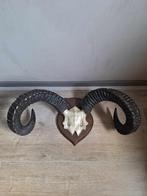 ramschedel 56 cm breed 28 cm hoog, Huis en Inrichting, Ophalen