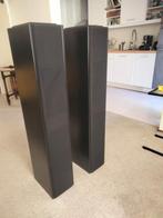 Pied Piper Speakers (Zwart), Audio, Tv en Foto, Luidsprekers, Ophalen, Gebruikt, Front, Rear of Stereo speakers, Overige merken