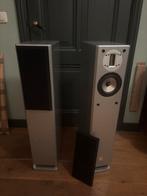 Xanadu DS14AW Bt - High End Luidsprekers buis vriendelijk, Gebruikt, 120 watt of meer, Front, Rear of Stereo speakers, Ophalen