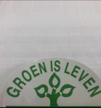 Hedera groen blijvende haag schermen voor direct privacy, Ophalen of Verzenden, Overige soorten, 100 tot 250 cm