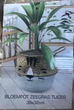 3x Bloempot Zeegras Tijger, Ophalen of Verzenden, Gebruikt