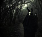 White Ward – Futility Report +*+*+*+*+ (CD/NIEUW) +*+*+*+*+, Verzenden, Nieuw in verpakking