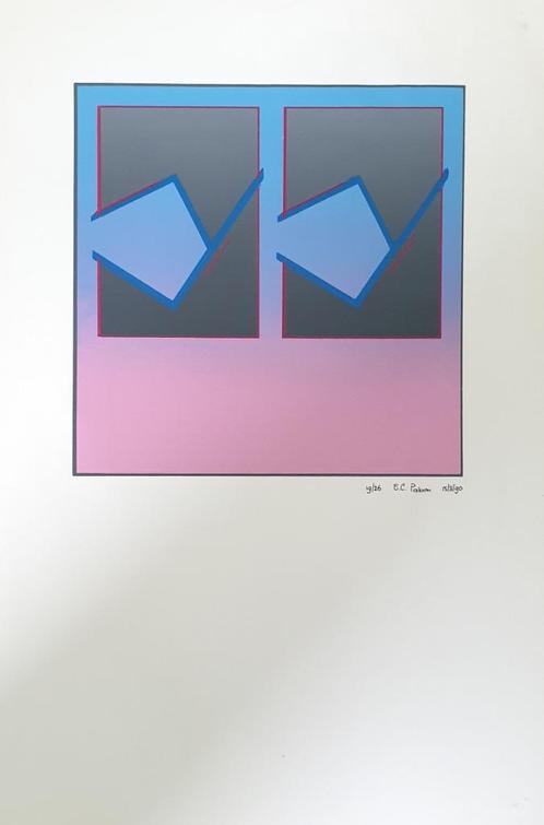 Exclusieve zeefdruk 12, Antiek en Kunst, Kunst | Litho's en Zeefdrukken, Ophalen