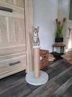 Poes zoekt gouden mandje, Dieren en Toebehoren, Katten en Kittens | Overige Katten, Poes, Kortharig, 0 tot 2 jaar