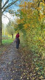 Verzorger/bijrijder/leaser gezocht met spoed, Dieren en Toebehoren, Ophalen of Verzenden
