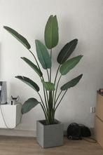 Grote kunstplant / Strelitzia (zonder pot), Ophalen, Gebruikt, Binnen