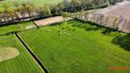 Per 1 oktober plek voor 1 of 2 pony's (merrie's), in Wapse, Dieren en Toebehoren, Stalling en Weidegang