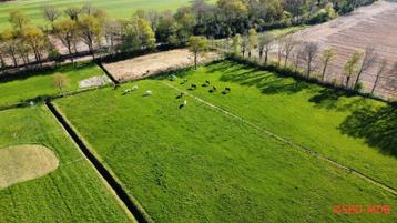 Per 1 oktober plek voor 1 of 2 pony's (merrie's), in Wapse  beschikbaar voor biedingen