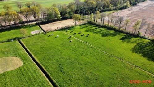Per 1 oktober plek voor 1 of 2 pony's (merrie's), in Wapse, Dieren en Toebehoren, Stalling en Weidegang