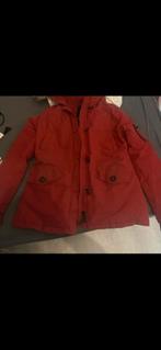 Wijnrode Airforce jas met bontkraag, Kleding | Dames, Jassen | Winter, Verzenden, Zo goed als nieuw, Rood