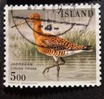 Ijsland grutto, Postzegels en Munten, Ophalen of Verzenden, Dier of Natuur