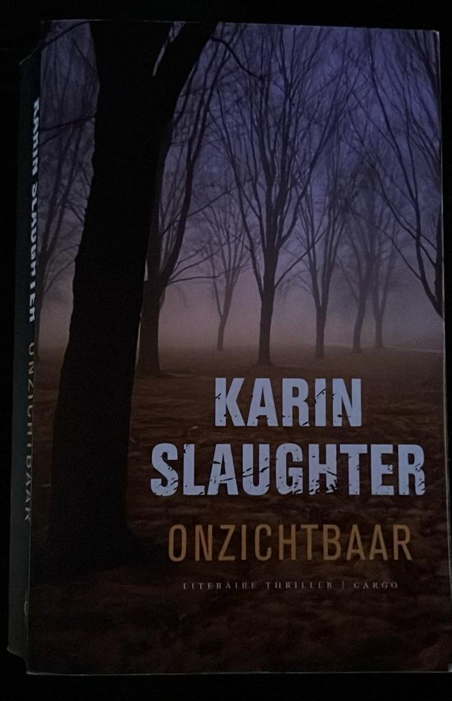 Karin Slaughter - Onzichtbaar, Boeken, Thrillers, Gelezen, Nederland, Ophalen of Verzenden